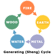 5 phases of traditional chinese medicine
